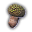 Item Icon for Dragon Egg Mushroom.