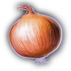FOOD Onion Unfaded.png
