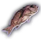 Rotten Fish A Unfaded.png
