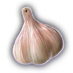 FOOD Garlic Unfaded.png
