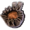 Ashes of Wyvern Stinger Item Icon.png