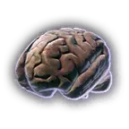 Mind Flayer Brain image