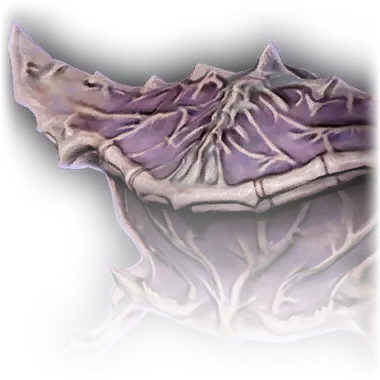 Cartilaginous Chest - Baldur's Gate 3 Wiki