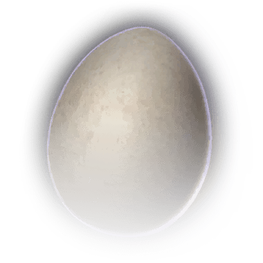 File:Chicken egg.png - Wikipedia