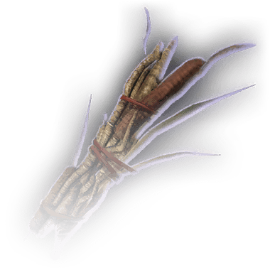 Daggerroot Bundle - bg3.wiki