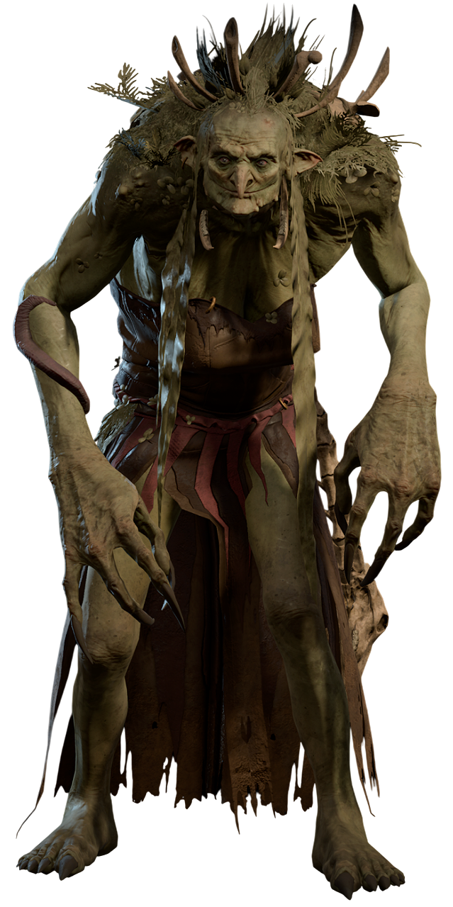 Hag Bg3 Wiki