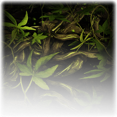 File:Roots surface.png