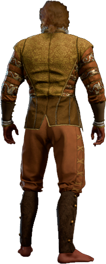 Splendid Gold Outfit High Elf Back