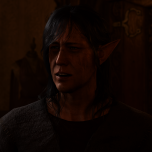 Arnell Hallowleaf, will stay with his wife, if they were rescued by Shadowheart. High Elf