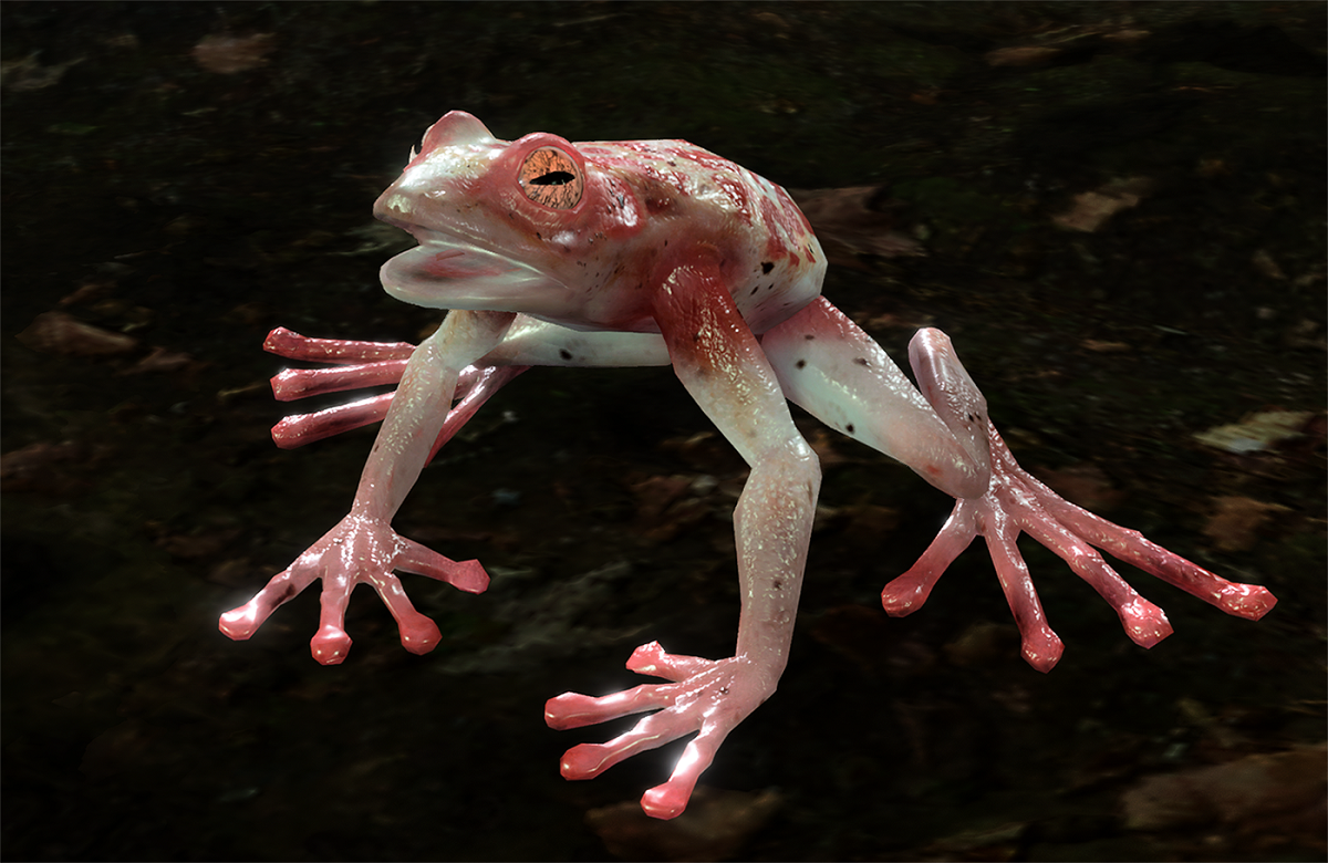 Addled Frog - bg3.wiki