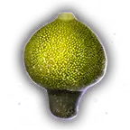 Poison Spore Unfaded.png