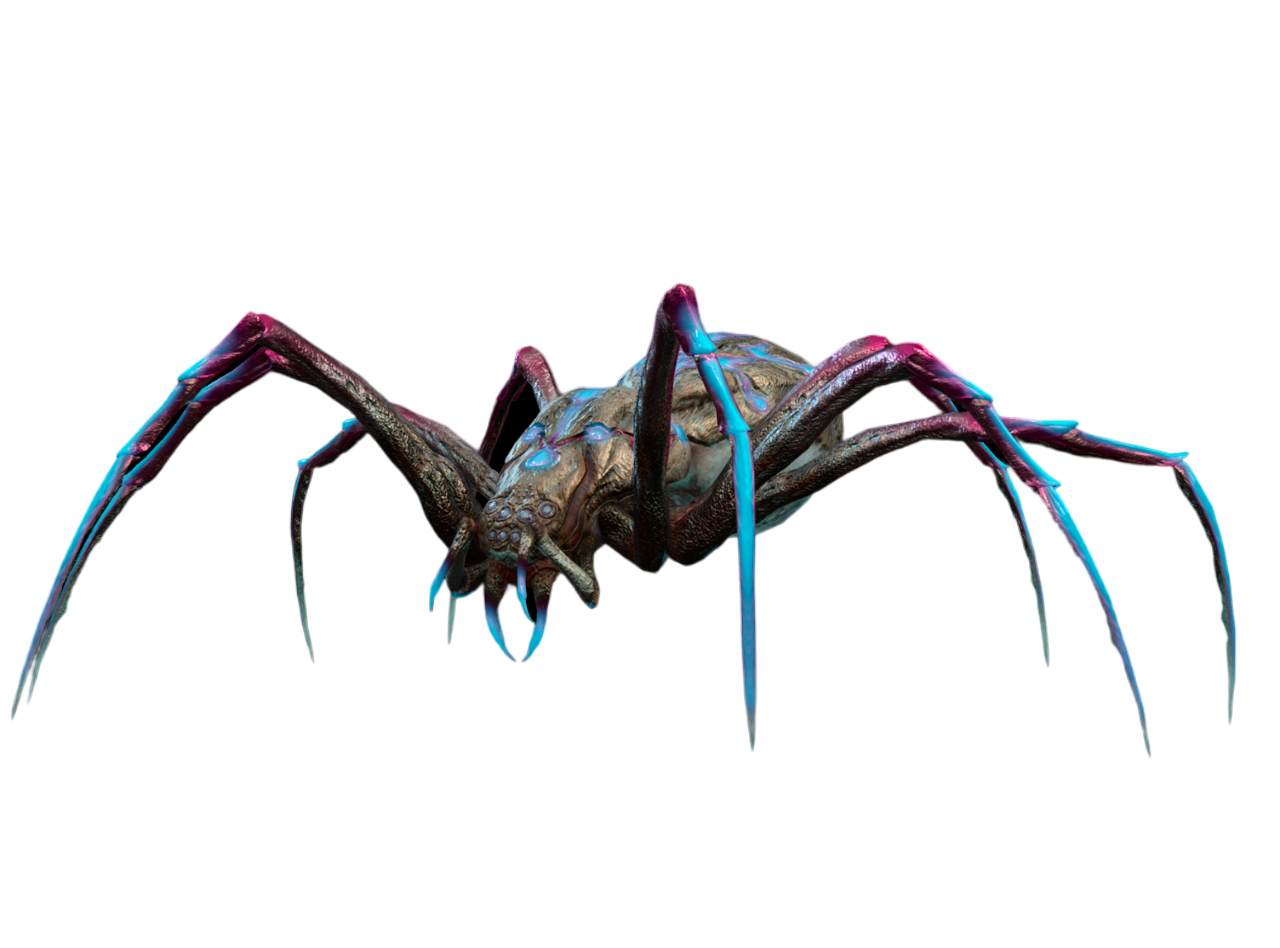 aranea-aculeata-bg3-wiki