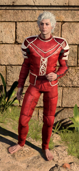 Scarlet Leather Armour in game male.PNG