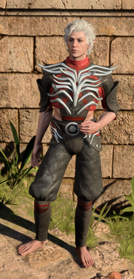 The Graceful Cloth in game male.PNG