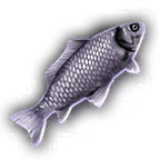 FOOD Fish A Unfaded.png