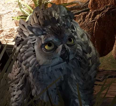 File:Owlbear cub.png