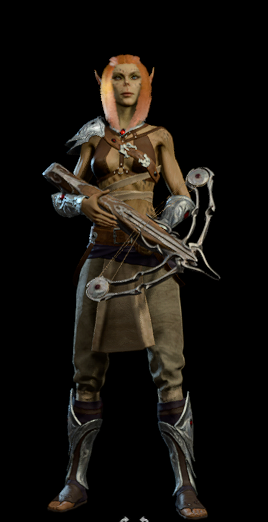Raider - bg3.wiki