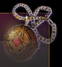 Unflinching Protector Amulet image