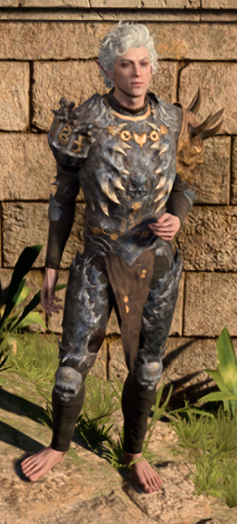 Helldusk Armour in game male.PNG