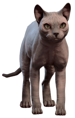 File:His Majesty Sphynx Model.png