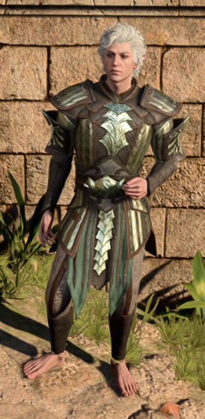 Yuan-Ti Scale Mail in game male.PNG