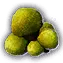 File:Bibberbang Unfaded Icon.png