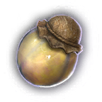 Hoarding Merregon - bg3.wiki