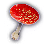 FOOD Blushcap Mushroom Unfaded.png