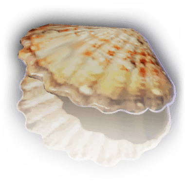Clamshell - Baldur's Gate 3 Wiki