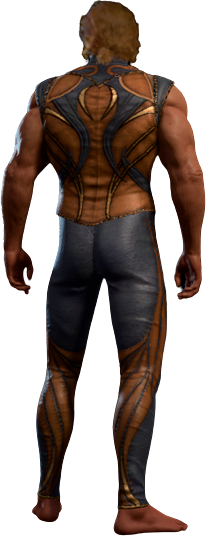 Lionheart Outfit High Elf Back