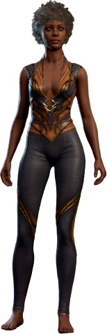 Lionheart Outfit Human Front