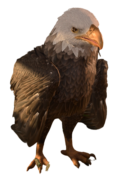 File:Giant Eagle.png