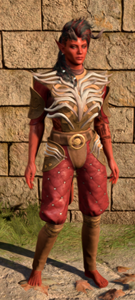 The Mighty Cloth in game female.PNG