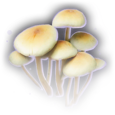 File:Mushroom Circle Faded.png