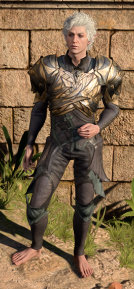 Spidersilk Armour in game male.PNG