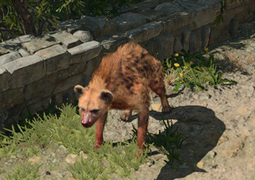 A hyena in-game.