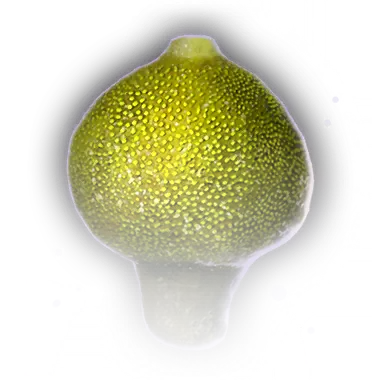 Poison Spore - Baldur's Gate 3 Wiki