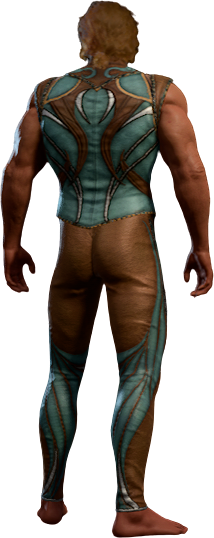 Lionheart Teal Outfit High Elf Back