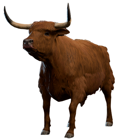 File:Ox Model.png