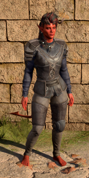 File:Shadeclinger Armour in game female.PNG