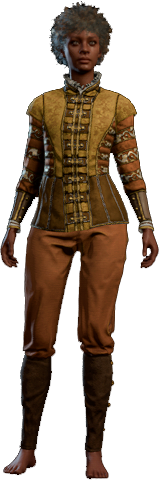 Splendid Gold Outfit Human Front