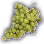 FOOD Green Grapes Unfaded.png