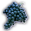 FOOD Purple Grapes Unfaded Icon.png