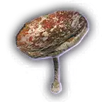 Rotten Mushroom A Unfaded.png