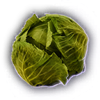 FOOD Cabbage Unfaded.png