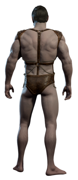 Incubus Underwear Male Back.png