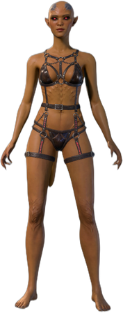 Underwear A Incubus Front