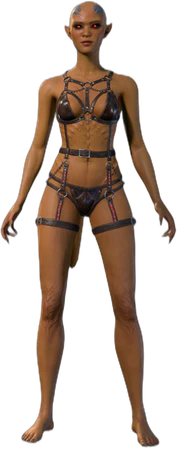 Underwear A Incubus Front