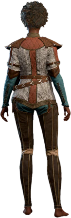 Robust Chain Shirt Human Back