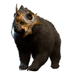 Bear Companion